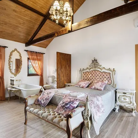 T3 Casa Da Chica Em Arouca