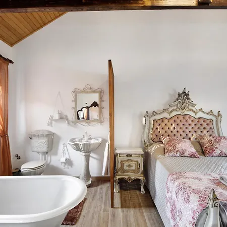 T3 Casa Da Chica Em Arouca Espiunca