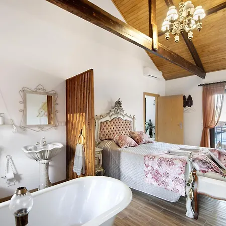 T3 Casa Da Chica Em Arouca