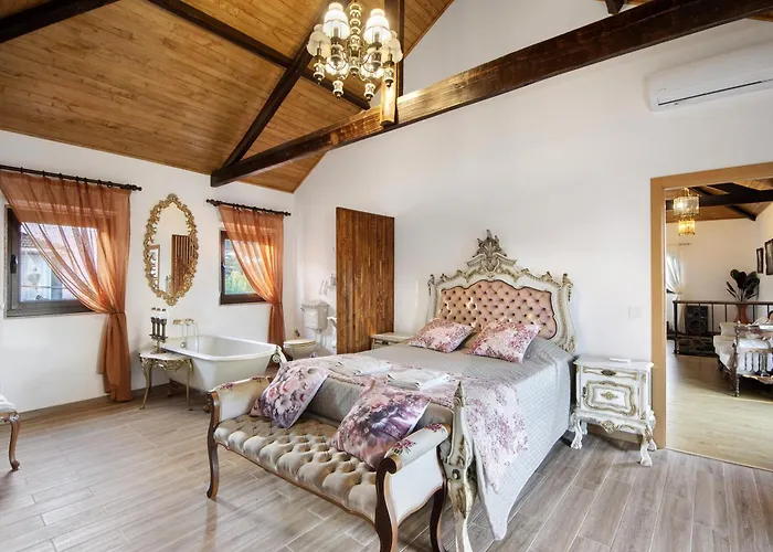 T3 Casa Da Chica Em Arouca