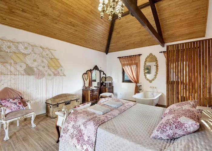 T3 Casa Da Chica Em Arouca