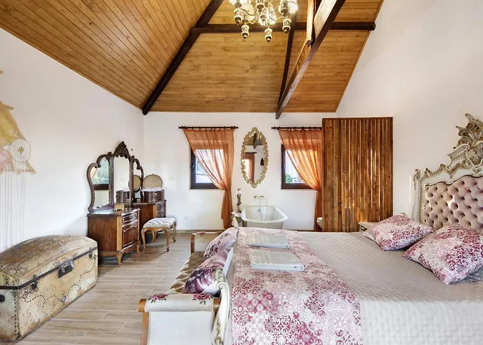 T3 Casa Da Chica Em Arouca