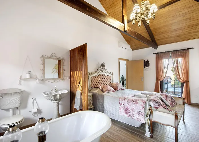 T3 Casa Da Chica Em Arouca