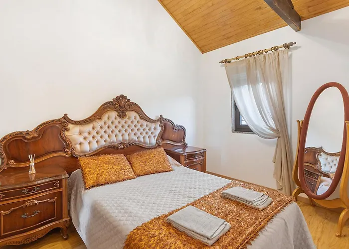 T3 Casa Da Chica Em Arouca