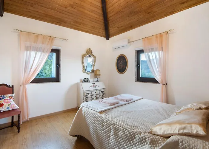 T3 Casa Da Chica Em Arouca